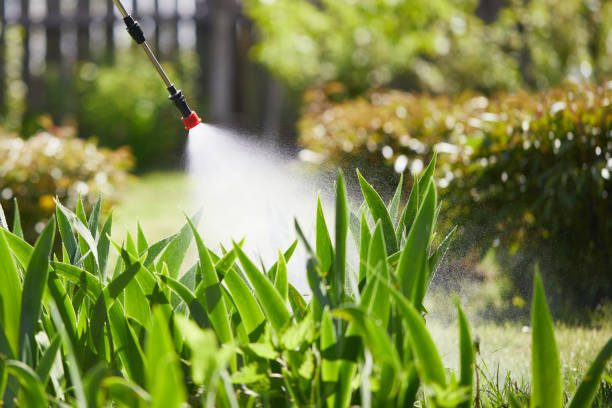 24/7 Emergency Ant Control experts in Thomaston, GA