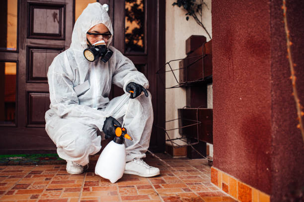 Reliable Ant Control contractor in Thomaston, GA by Show Me Pest Control